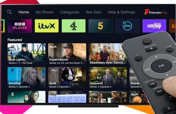 Freeview users angered by loss of TV channels – millions urged to follow advice