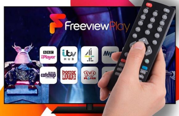 Freeview users urged to check their TVs today – new channels and updates launch