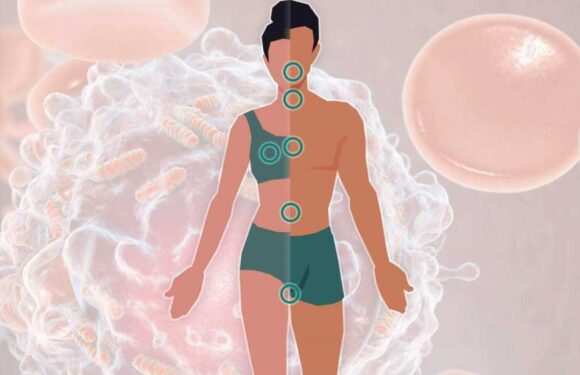 From bloating to losing your voice – the 22 most common cancer symptoms you should get checked today | The Sun