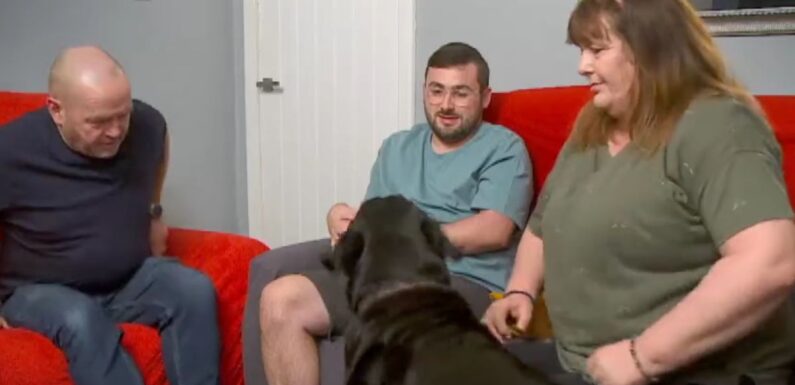 Gogglebox viewers emotional over lovely tribute to Malone familys dog Dave