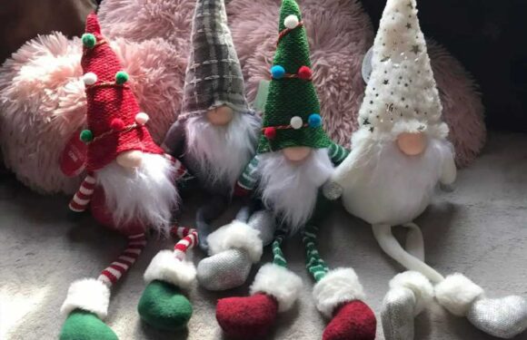 Gonk-lovers are racing to Poundland for 'huge' £2.50 decorations – and they’re perfect for Christmas | The Sun