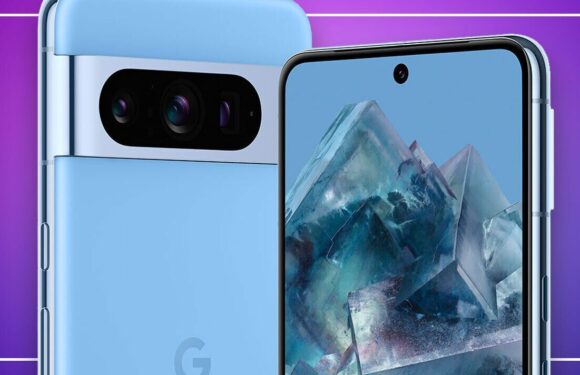 Google Pixel 8 Pro review: Pure Android bliss