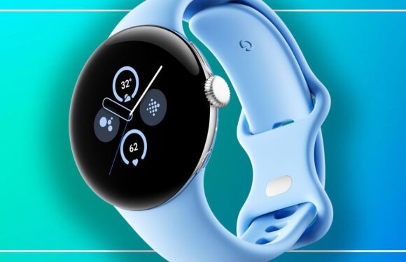 Google Pixel Watch 2 review: Watch out, Samsung