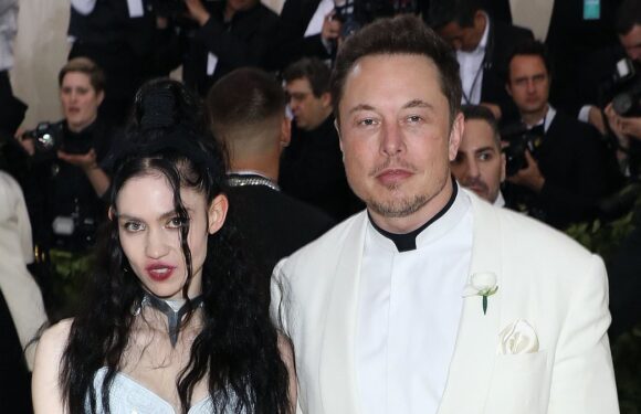 Grimes sues Elon Musk over parental rights of their three children