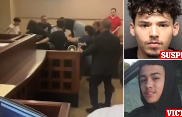 Handcuffed murder suspect is beaten-up by family of his 'victim'