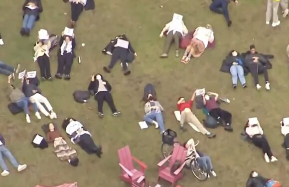 Harvard students hold 'die-in' and protests in SUPPORT of Palestine