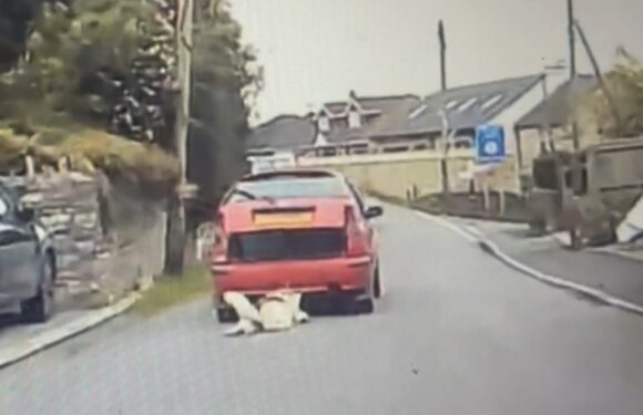 Heartbreaking moment 'sadistic' farmer drags husky behind car for 300m before dog died from horror injuries | The Sun