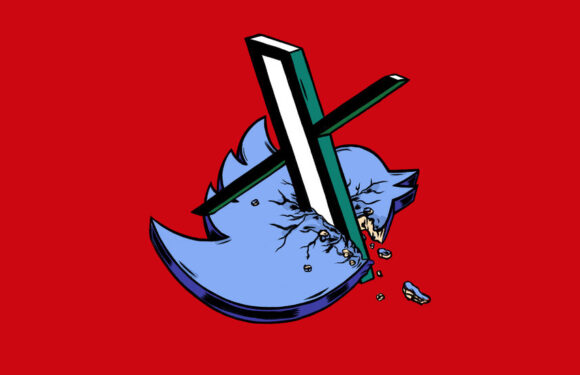 How Elon Musk Changed the Meaning of Twitter for Users