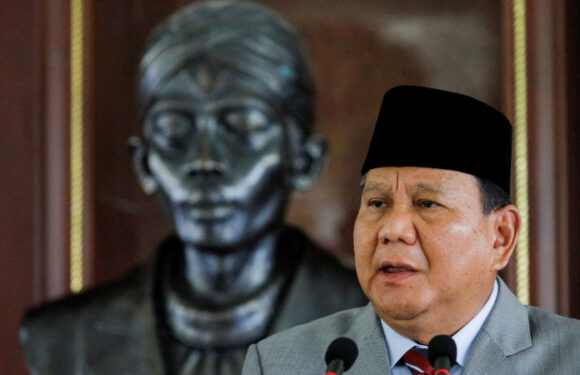 How old is too old? Indonesian court to rule on presidential age cap
