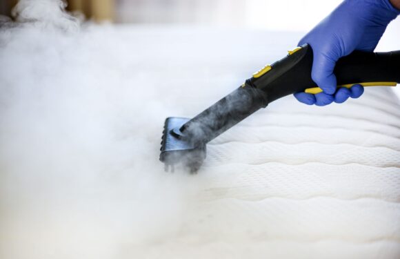 How to deep clean a mattress if you suspect you have bed bugs | The Sun