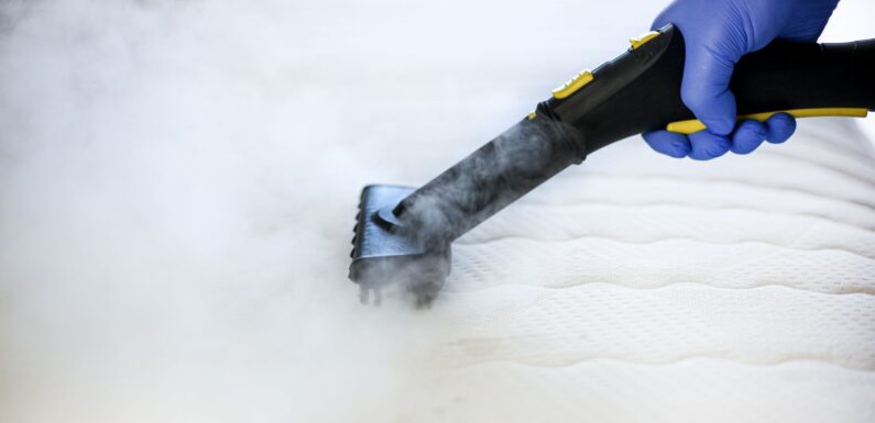 How to deep clean a mattress if you suspect you have bed bugs | The Sun