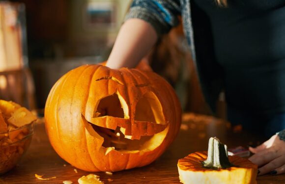 How to stop your Halloween pumpkin going to waste