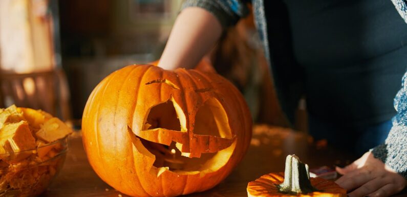 How to stop your Halloween pumpkin going to waste