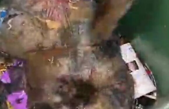 Huge rats jump out of bin leaving refuse workers horrified of rodent plague