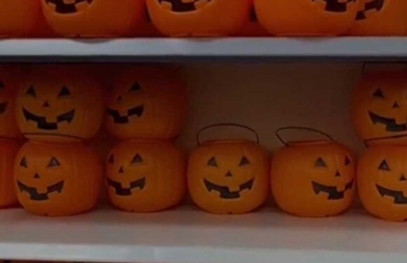 I DIYed beautiful light-up Halloween decor for my porch using $2 Walmart buys – hurry, they're running out of stock | The Sun