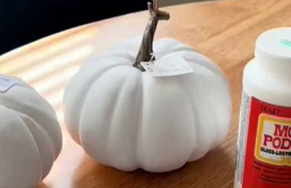 I DIYed the cutest pumpkin decor with a cheap TJ Maxx buy – they were fun to make, I’m obsessed with how they turned out | The Sun