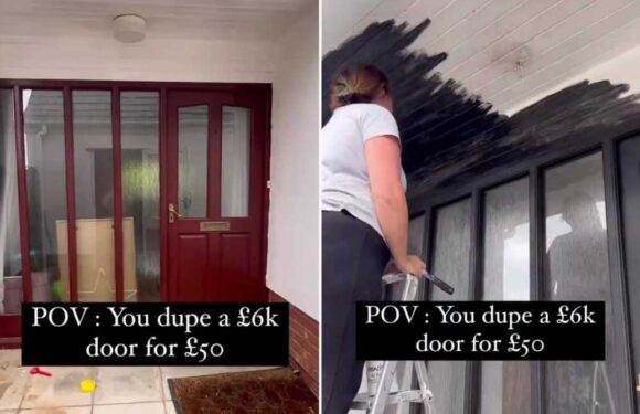 I duped a fancy £6k front door for just £50 – all you need is some paint and a £7.50 B&M buy | The Sun