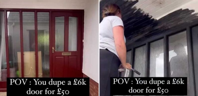 I duped a fancy £6k front door for just £50 – all you need is some paint and a £7.50 B&M buy | The Sun