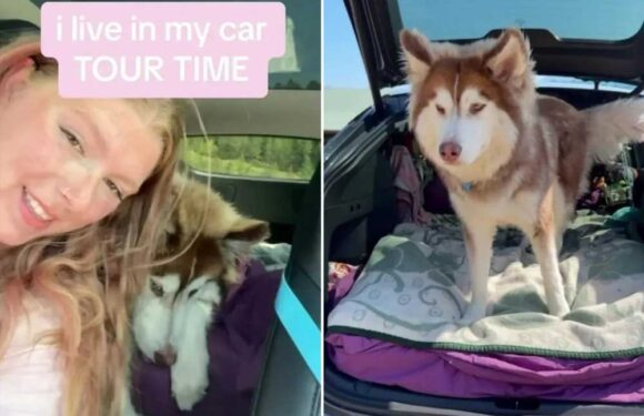 I live in my car with my huge husky – it costs £20 a month for fuel and I make money by delivering people’s takeaways | The Sun
