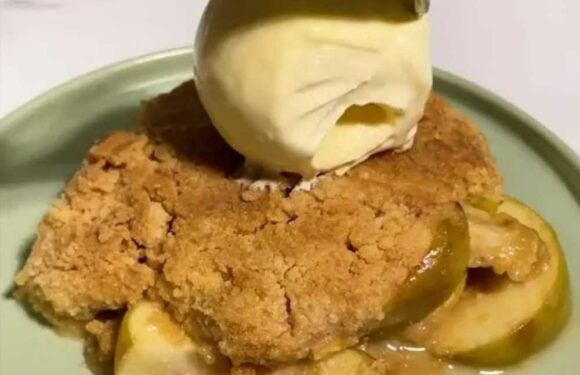I made a mouth-watering apple crumble in my air fryer – you only need 5 ingredients and it’s the perfect winter warmer | The Sun