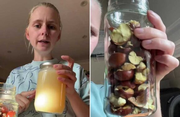 I make washing powder out of conkers – it's totally free and my clothes have never been cleaner | The Sun