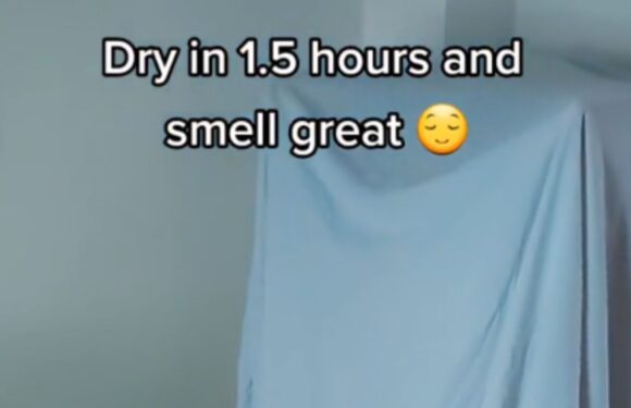 I never use my tumble dryer thanks to £17 Tesco gadget – it makes clothes crisp & dry with NO damp smell | The Sun