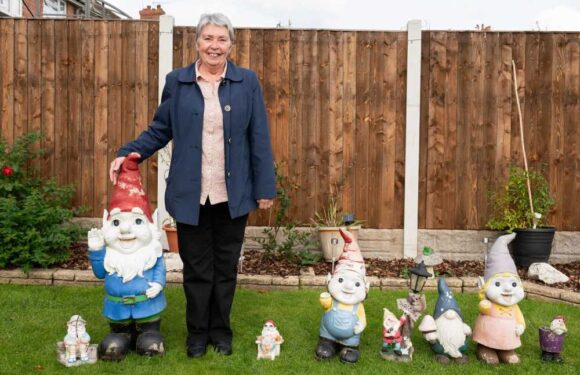 I won £1m People’s Postcode Lottery jackpot – secret to my good luck was lurking in my garden | The Sun