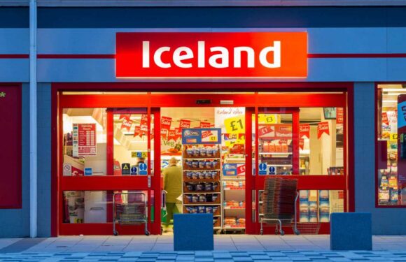 Iceland shoppers are going wild for new Cadbury's chocolate bars hitting the shelves – but they won't be around for long | The Sun