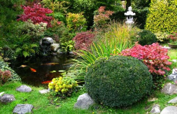 I’m a gardening pro – the common mistake making your yard look cheap and why layout is essential for an 'expensive' home | The Sun