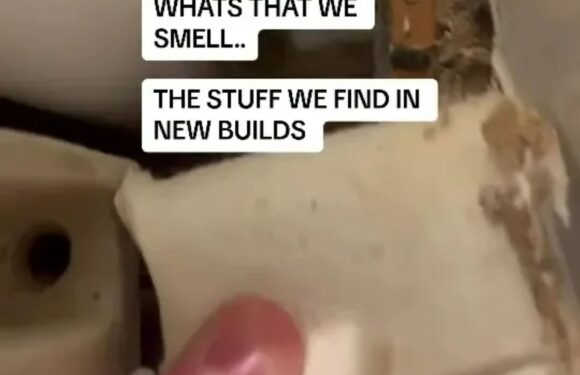 I’m a house inspector – here is why you should always check new build homes for snags | The Sun