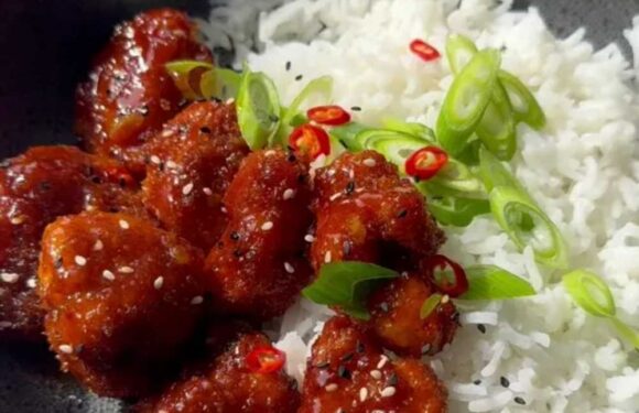 I’m an air fryer whizz – my sticky sesame chicken bites are SUPER tasty & will save you loads of washing up | The Sun