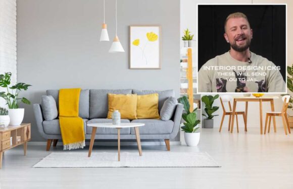 I’m an interior designer & I think people should go to jail for some home decor – pampas grass is a huge no-no | The Sun