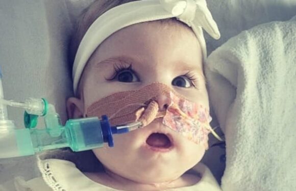 Indi Gregory's parents to return to UK for next round of legal battle