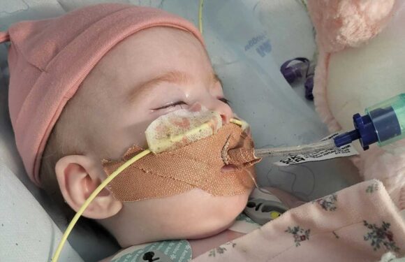 Indi Gregory's parents lose battle to keep 7-month-old who suffers from same disease as Charlie Gard on life support | The Sun