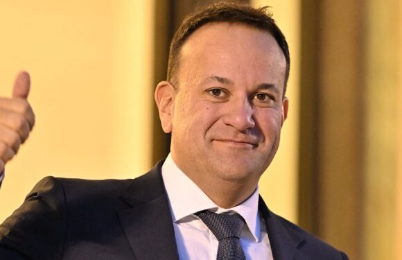 Irish PM Varadkar admits to EU 'differences in opinion' over Gaza