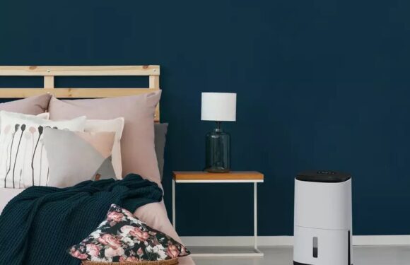 I've found the best dehumidifier – it's on 24/7, barely costs anything & gets rid of 20l of mould-causing water daily | The Sun