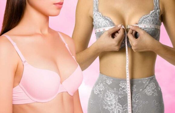 I'm a lingerie expert… the bra style to avoid if you have big or small boobs & why cheap shapewear is a no-no | The Sun