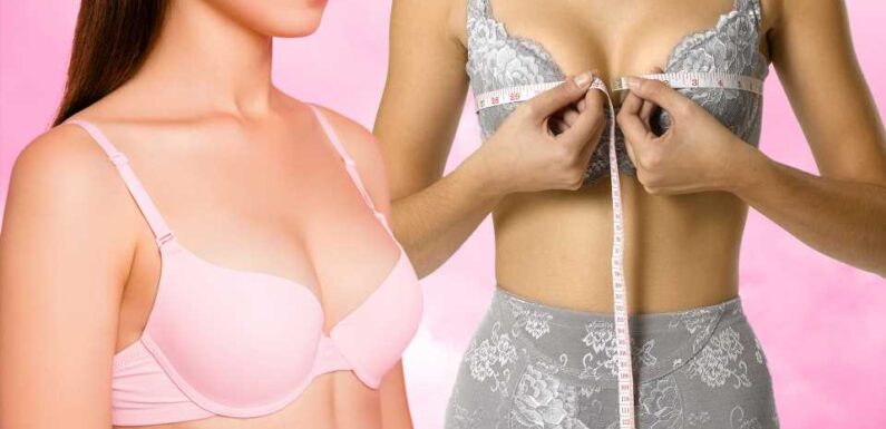 I'm a lingerie expert… the bra style to avoid if you have big or small boobs & why cheap shapewear is a no-no | The Sun