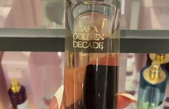 I'm a savvy shopper…here are the Zara perfume dupes worth buying, and the ones that smell nothing like the real deal | The Sun