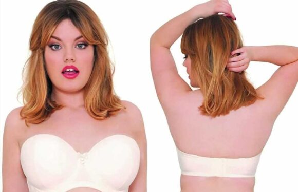 I've found the perfect strapless bra for curvy girls… it's nip-slip proof and less than £15 | The Sun