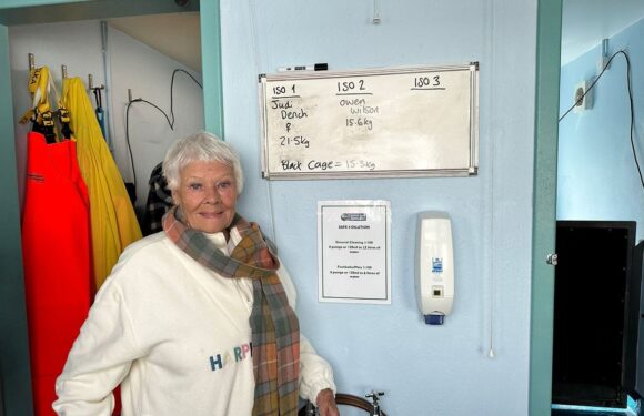 Judi Dench got to meet a seal pup named after her