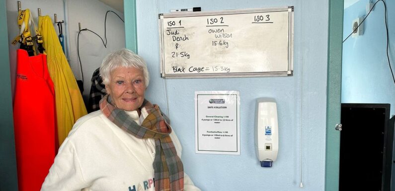 Judi Dench got to meet a seal pup named after her
