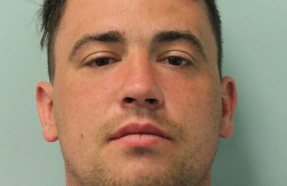 Jury to consider if police could have done more for Zara Aleena