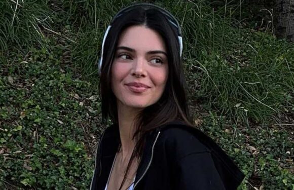 Kendall Jenner shows off rock-hard abs in just a sports bra and leggings on walk with dog Pyro | The Sun