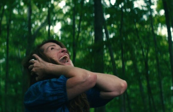 Leave The World Behind Trailer: Julia Roberts, Mahershala Ali & Ethan Hawke Face Apocalypse In Netflix Film