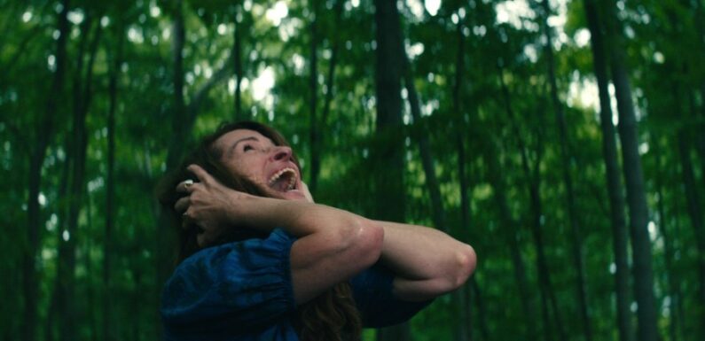 Leave The World Behind Trailer: Julia Roberts, Mahershala Ali & Ethan Hawke Face Apocalypse In Netflix Film