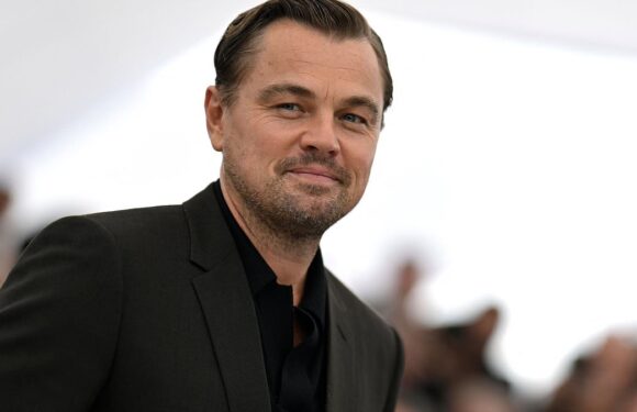 Leonardo DiCaprio wore a fake butt during shocking spanking scene