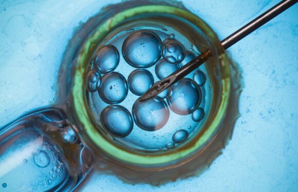 Living costs and rising IVF fees are pricing fertility patients out