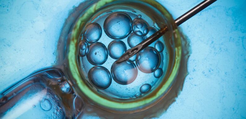 Living costs and rising IVF fees are pricing fertility patients out