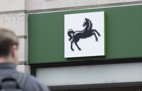 Lloyds Bank offers staff therapy after Tory conference trans remarks